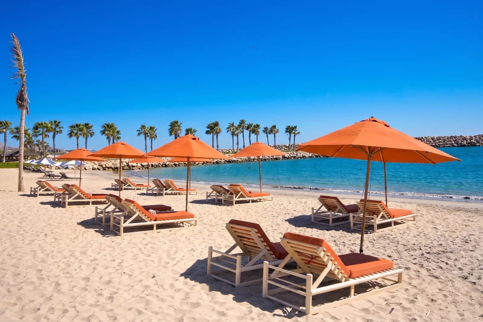 Beach club