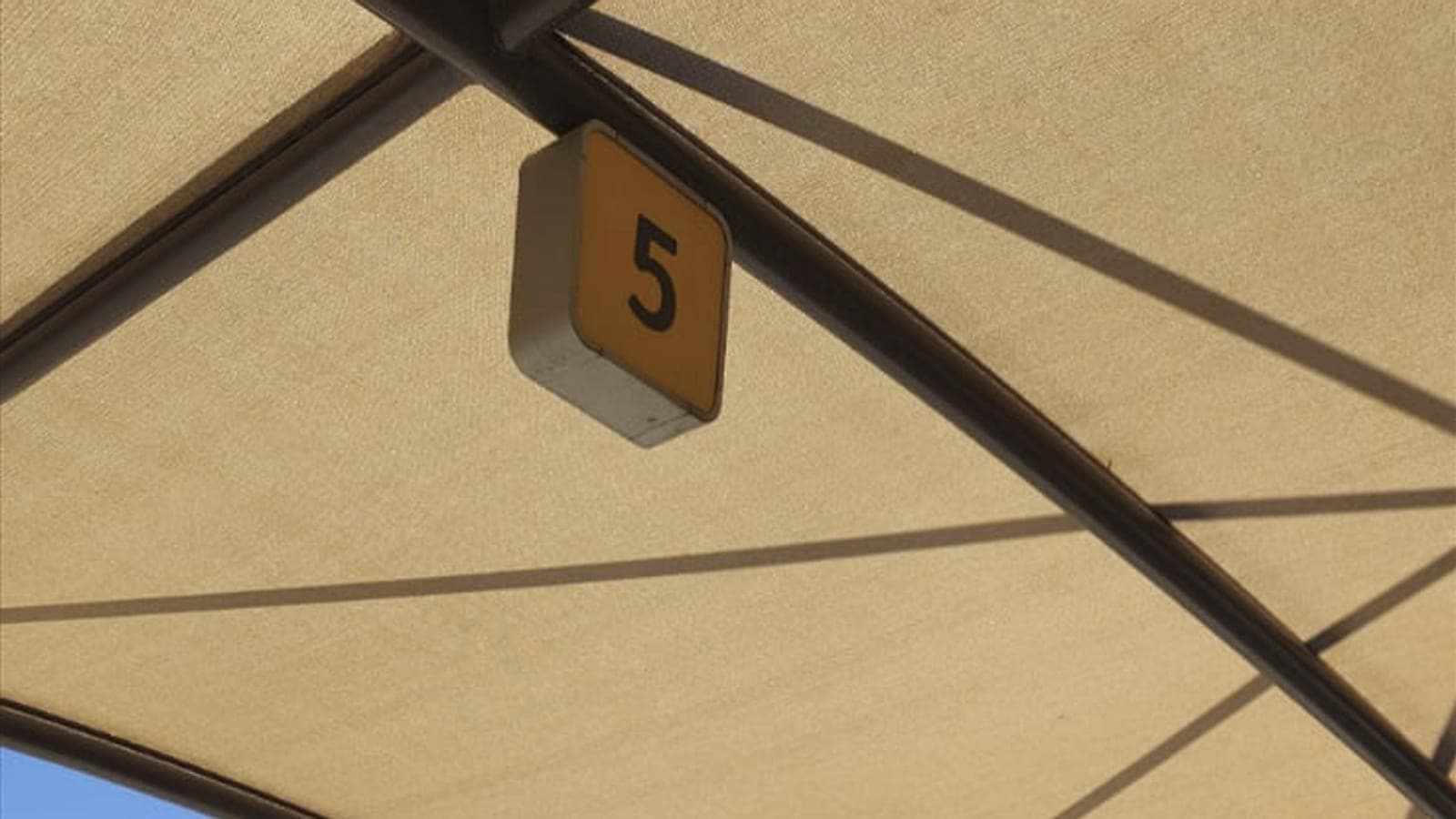Umbrella #5 at SJD arrivals