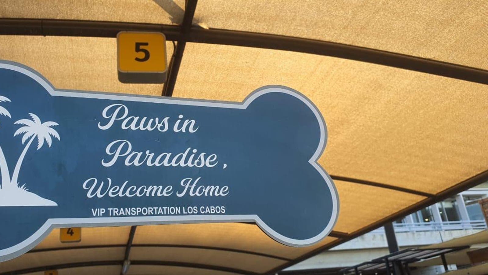Paws in Paradise sign at SJD