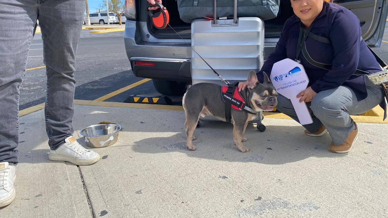 Guest's dog with the VIP host