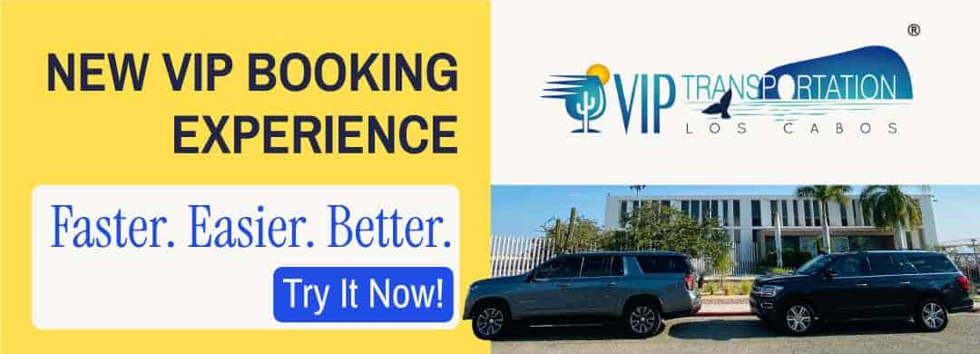 New Experience