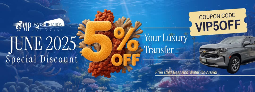 springbreak sale