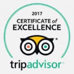 certificate of excellence tripadvisor transfer service